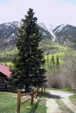 Mt. Elbert Lodge