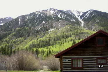 First snow on Twin Peaks.