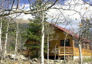 Rinker Cabin, our largest 1 bedroom cabin.