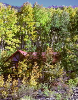 Prospector, our smallest cabin.